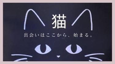 カフェベローチェ「黒猫まみれ」迷ったら買い！まずは内容見てみて！
