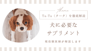 Ta-Ta(タータ）のメリットデメリットを徹底解説！犬を飼っている方は必見