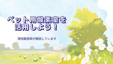 犬・猫用酸素室をQOL向上のために、もっと活用しよう！
