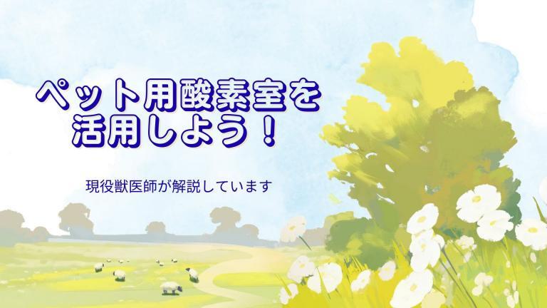 犬　猫　酸素室